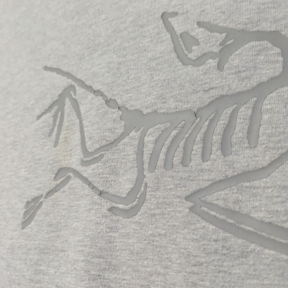 Arc’teryx Archaeopteryx Pullover Hoodie - Picture 5 of 8